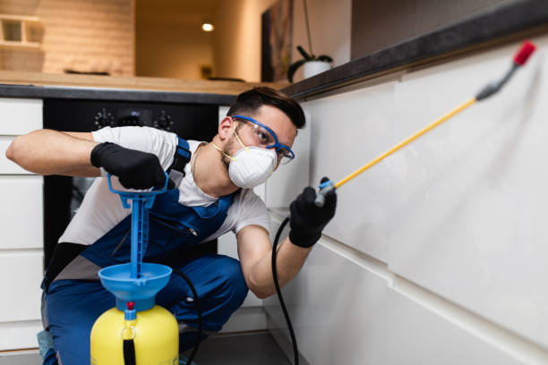Best Pest Removal Services  in Carrollton, IL
