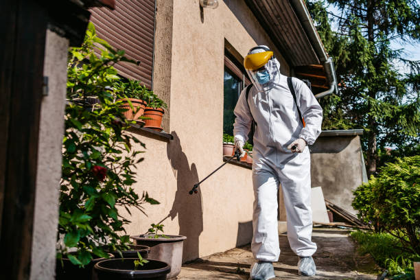 Wasp Removal Services in Carrollton, IL
