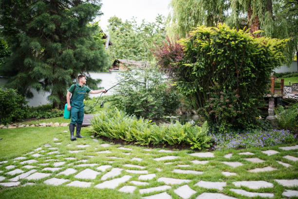 Best Wasp Removal Services  in Carrollton, IL