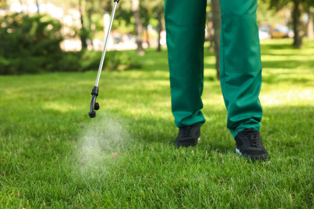 Best Ant Control Services  in Carrollton, IL