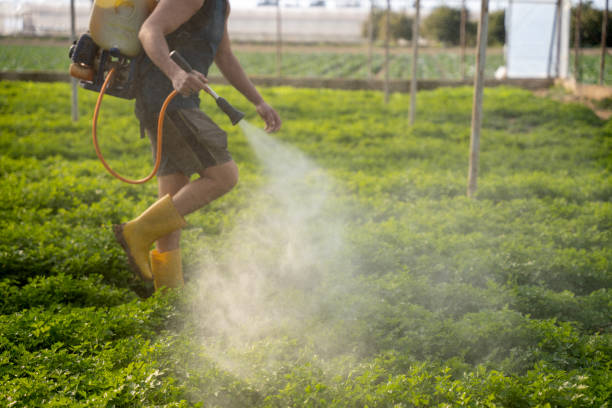 Professional Pest Control in Carrollton, IL
