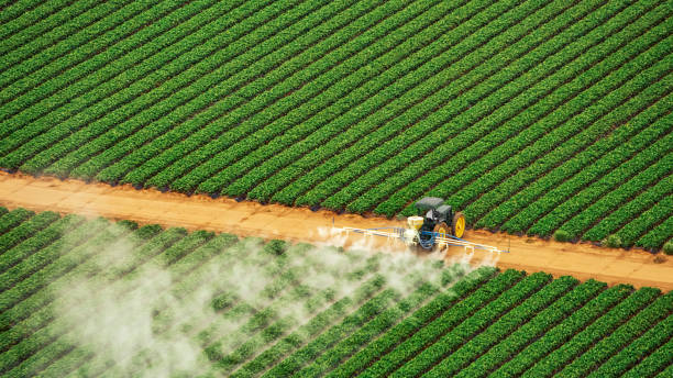 Best Mosquito Control Services  in Carrollton, IL