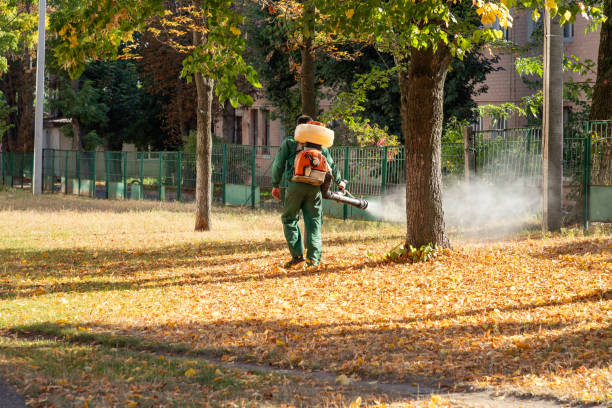 Flea Control Services in Carrollton, IL
