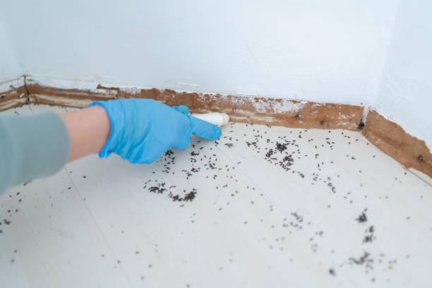 Best Exterminator Services  in Carrollton, IL