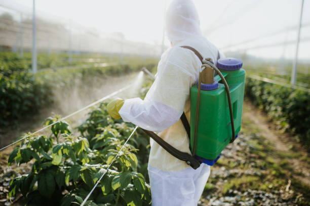 Best Bed Bug Extermination  in Carrollton, IL